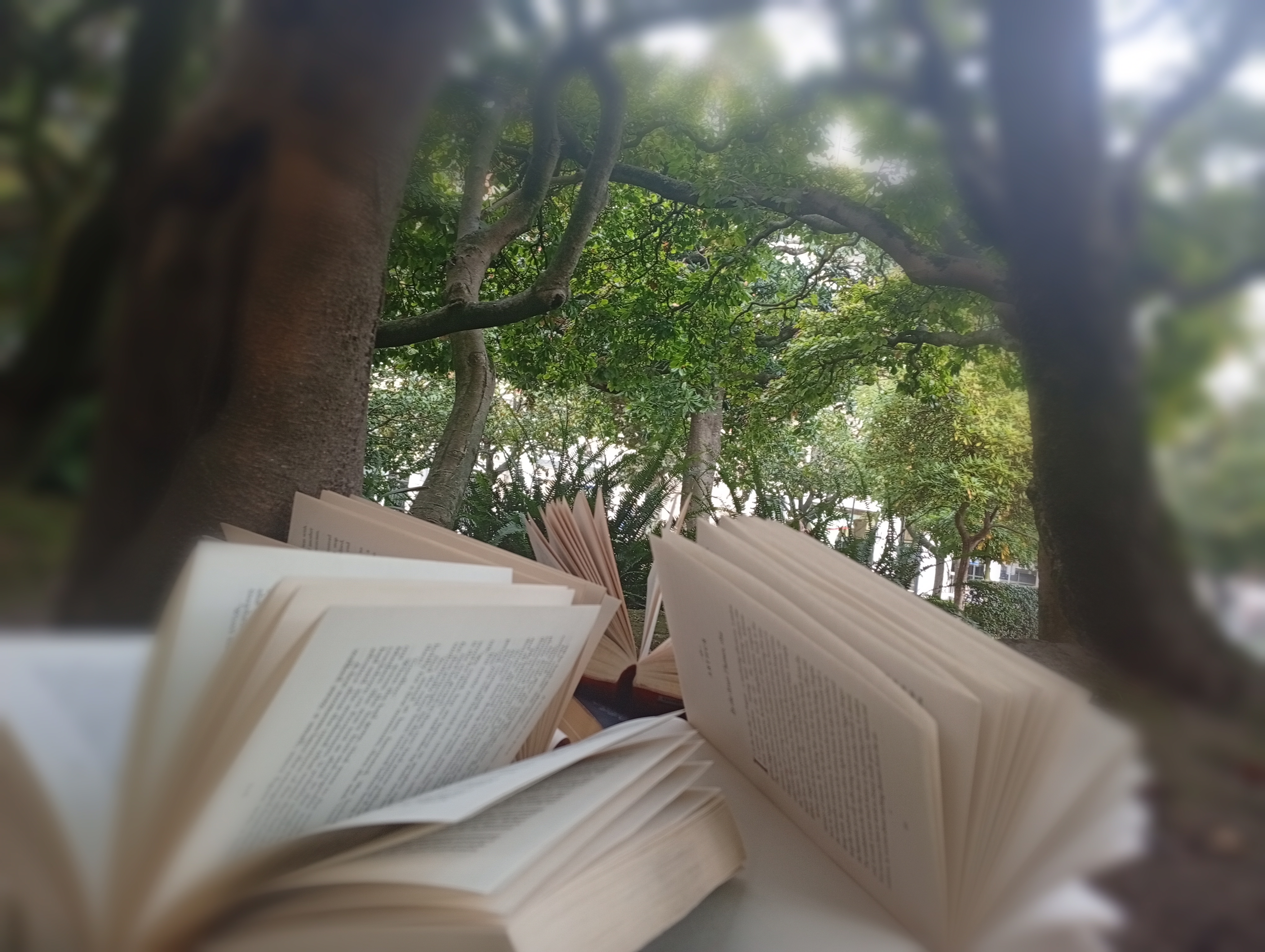 Open books surrounded by green plants and trees